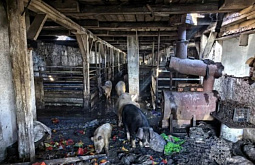 � ���� ������������ 200 ������� �� ���������� ����������