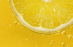 � ������ ���������� �������� ������� �� ������ � �����