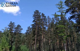 � ������� ������� ������� ������� � ����������� ������ �������