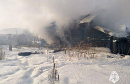 ����� ���� ����� 49-������� ������ �������