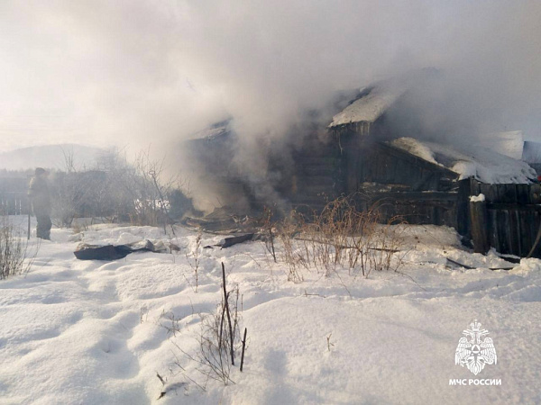 ����� ���� ����� 49-������� ������ �������