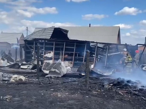 � ������� �� �������� ������ ������� ����������� � �������