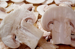 �� ����� � ��������� ������� ����� ����-������