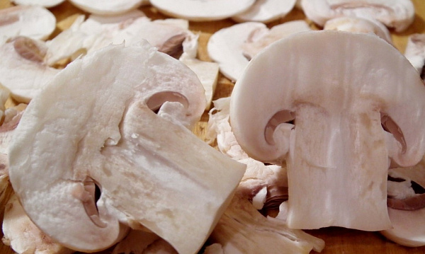 �� ����� � ��������� ������� ����� ����-������