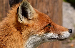 �� ��������� � ������� ������� ����� 117 ����� ��������