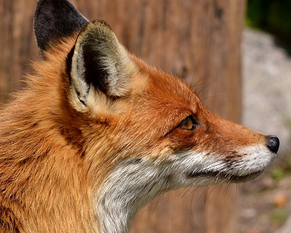 �� ��������� � ������� ������� ����� 117 ����� ��������