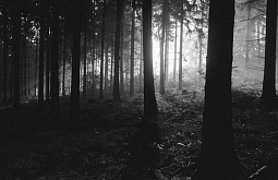 ����� ѻ: ��������� ���� ��� �� ������� �������� �� �����������