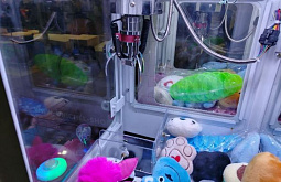 ����-������ �� ���� �������� ������� � �������� � ������� ���