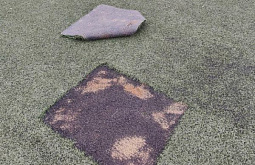 � ������� ������� �������� ����� �������������� �������� �� �������� 