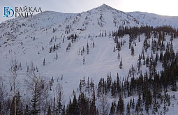 �� ������ ������� ����������� �������� ���������