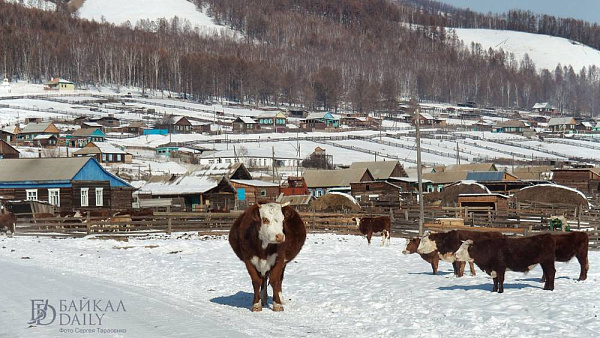 ����� ������ � ������� ��������