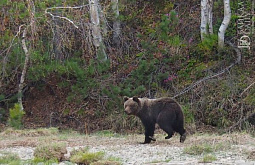 �� ������ ������� �������� �������