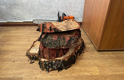 � ���������� �������� ������� ���� �� ����� ������� � ��������� ��������