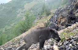 � �������� � ������� �������������� �������� ������� �����