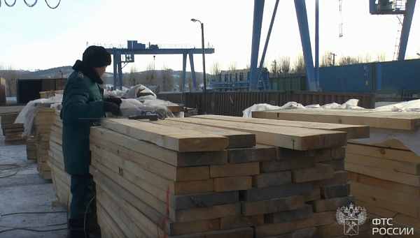 Из Бурятии с начала года вывезли более двух миллионов тонн леса 