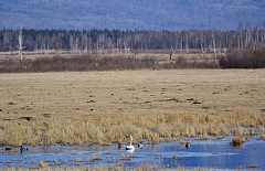 � ���������� �������� �������� ���� �������