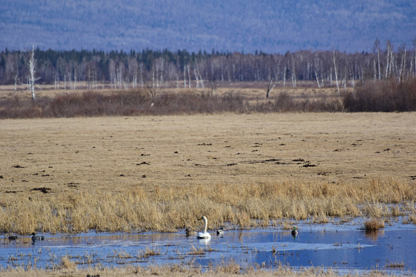 � ���������� �������� �������� ���� �������