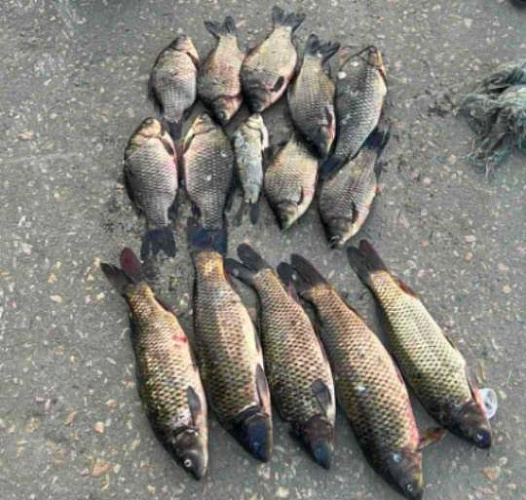 В Бурятии браконьер с рыбой и сетями попался сотрудникам ДПС