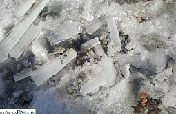 ������ ������� ������� ����� �� ������� ����� �� ����������