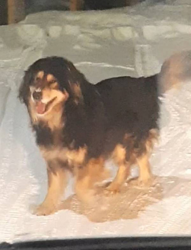 � ����-��� ������ �������� ��������� 