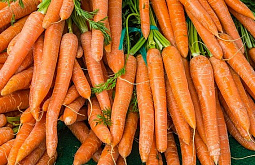 � ������� ��������� ����� ������� ����������� �������� 