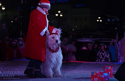 ������� ���� �������� ��������� 22 �������