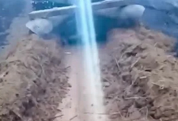 ������ ����� �� ������� ��� ������������ � ������� � ��������