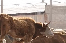 �������������������� � �������� �������� � ������� �������� ����� �����