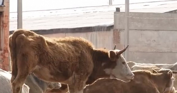 �������������������� � �������� �������� � ������� �������� ����� �����