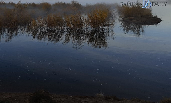 � ������� ��������� ������������� ����� � ������ ������� 