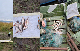 � ���������� ������ ���������� �������� �� ����� �� ����� ���������� ��������� ����������