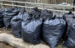 � ���� ������ ������������� ���������