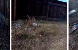 � ������� ��������� �������� �������� �������� 