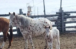 � ���� ������� ������ �������� ������������� ������