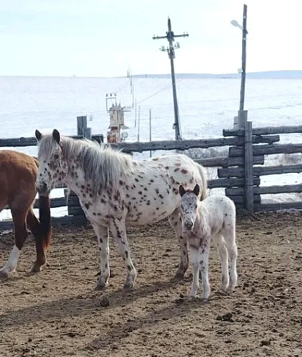 � ���� ������� ������ �������� ������������� ������