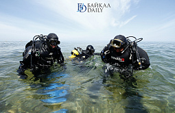 ���������-�������� ����������� ��� ������� ������-������������� ���������� � ������� ������ (������������)