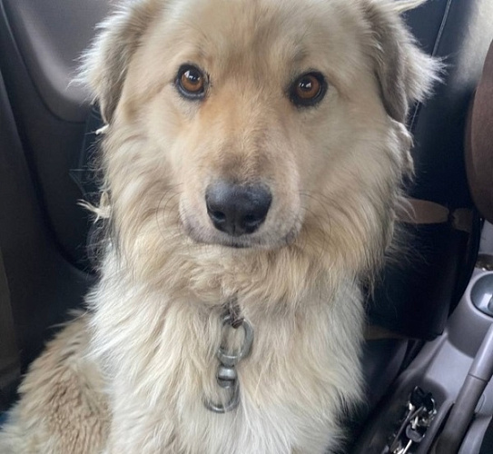 �� ����� �� �����?�: � ����-��� ����� ���������� �� ������������ ��� ����� ������� ����