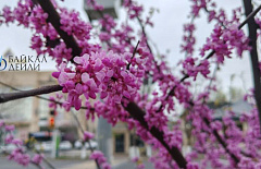 +16: ����� ������ � ������� �������� � ����������