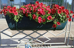 ����-��� ����� ������� ������������ �������