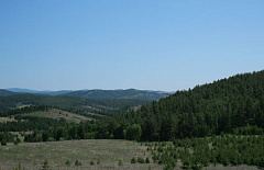 ����������� �� ������� ��������� ������������������ � ��� �������� ���  