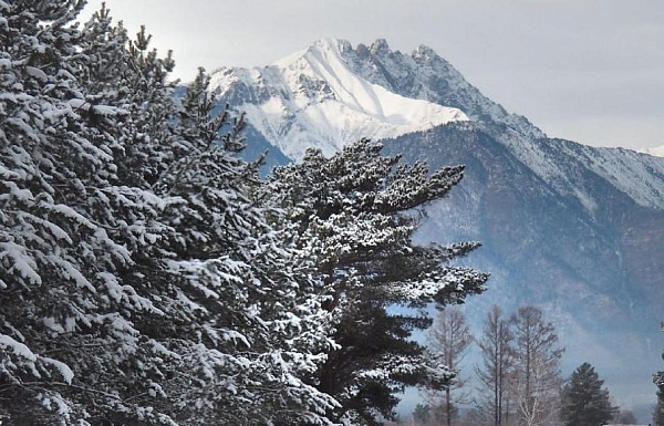 ������ 90 ������������� ����� ����� �� �������� ������� � ������ ����