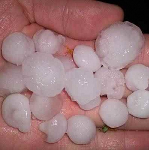 � ������� ���� ����� ������� 