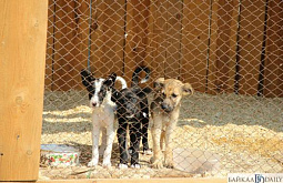 � ������� �������������� ������� � �������� ���������� ����� � ������� ��-�� ���������