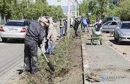 � ����-��� �� ����� ��������� �������� �������: ������������