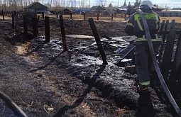 � ���������� �� ����� ��������� 11 ������� 