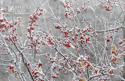 В Улан-Удэ временами слабый снег