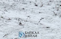 � ��������� ����� ������� ����� ������ ����