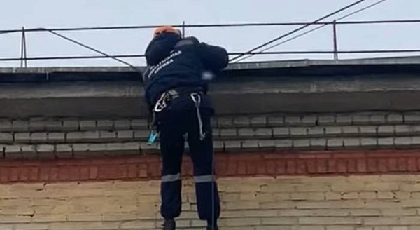 � ����-��� ���������� �������� ��������� ������������� ����������