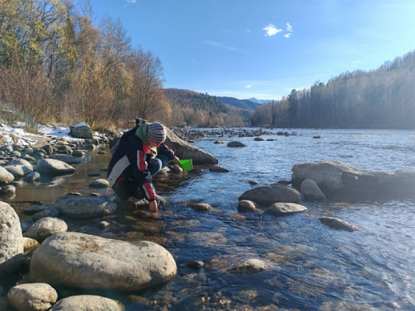 ������ ������� ���� � ����� �������