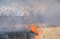 � �������� � ������� �������� ���